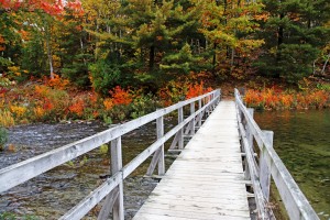 Bridge Over George Lake